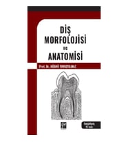 Diş Morfolojisi Ve Anatomisi