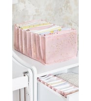 Akordiyon Dolap Çekmece İçi Düzenleyici Organizer L 37X24X18Cm (Mavi)