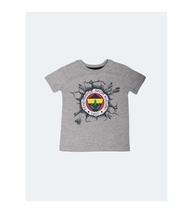 Fenerbahçe Lisanslı Gri Çocuk T-Shirt