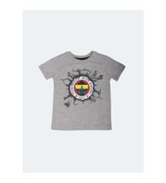 Fenerbahçe Lisanslı Gri Çocuk T-Shirt