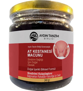 Atkestanesi Macunu: 1 Adet Aydın Tanzim Birliğinden 240 gr Macun