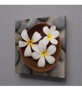 SPA TAŞLARI VE PAPATYA TEMALI KANVAS TABLO 60x60cm (Karışık)