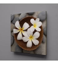 SPA TAŞLARI VE PAPATYA TEMALI KANVAS TABLO 60x60cm (Karışık)
