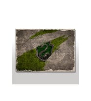 35cmX50cm Ahşap Tablo Harry Potter  Slytherin Bayrak Ahşap Zemin Görseli