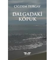 Dalgadaki Köpük / Çiğdem Turgay