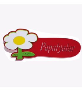 SINIF İSİMLİĞİ PAPATYALAR