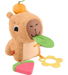Fisher Price Yumuşak Kapibara Peluş HYR54 (Çok Renkli)