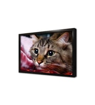 Kedi Çerçeveli Mdf Tablo