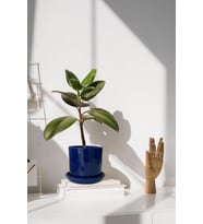 Evdek Tabaklı Lacivert Silindirik Çömlek Saksı 15x15 Cm