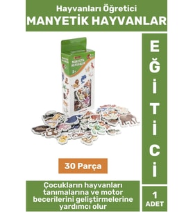 Premium Eğitici Görsel Algı El-Göz Koordinasyonu Hayvanların Öğrenimi 30 Parça MANYETİK HAYVANLAR