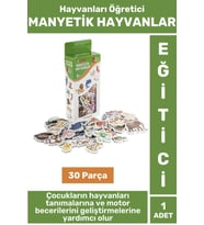 Premium Eğitici Görsel Algı El-Göz Koordinasyonu Hayvanların Öğrenimi 30 Parça MANYETİK HAYVANLAR