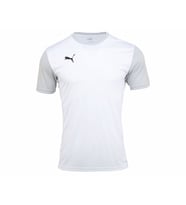 Puma Teamgoal Erkek Futbol Tişörtü 65648404 Beyaz