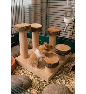 Doğal Kemirgen Merdiveni ve Tırmanma Standı - Hamster Oyun Kulesi