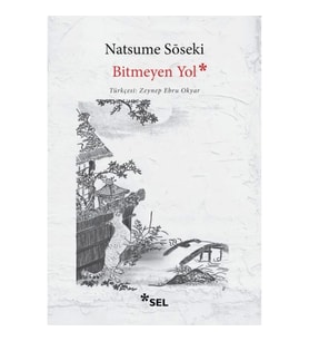 Bitmeyen Yol