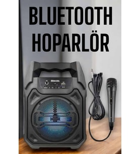 Güçlü Şarj Edilebilir Bluetooth Hoparlör 6.5 İnç - Lisinya