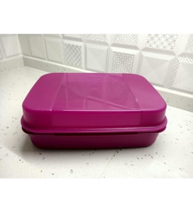 Tupperware Saklama Kabı F20