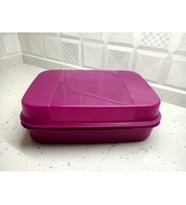 Tupperware Saklama Kabı F20