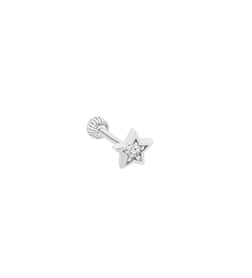 Gümüş Kartanesi Tragus Piercing