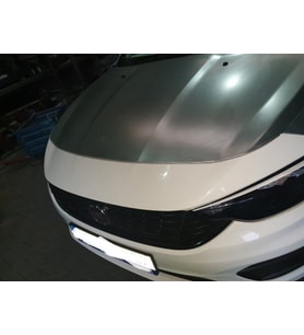 FIAT EGEA- CROSS- 21/24; MOTOR KAPUTU (İCELİ/ÇEKOMASTİKLİ) (EAGLE BODY)
