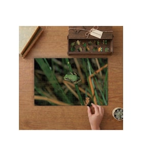 Yeşil Minik Kurbağa Tasarımı 240 parça Ahşap Puzzle Ahşap Kutuda MP05002