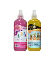 Luxor Kimya Karnaval ve Tropikal Ev Oto Kokusu 2x400 ML
