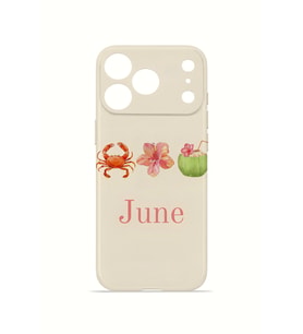 iPhone 17 Pro Vorian İnce Kamera Korumalı Mika Kılıf June Seaside
