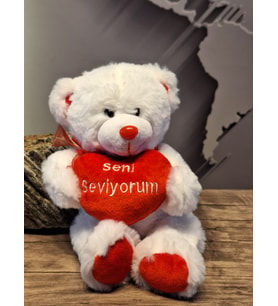 SENİ SEVİYORUM MİNİK AYICIK 28cM