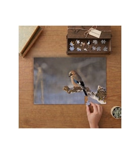 Daldaki Alakarga - Kuş - Doğa Tasarımı 240 parça Ahşap Puzzle Ahşap Kutuda MP09633