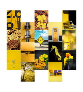 Orora Yellow Temalı Poster Duvar Kağıdı Seti-15li-230g-A5