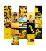 Orora Yellow Temalı Poster Duvar Kağıdı Seti-15li-230g-A5