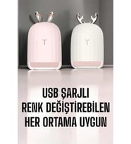 Northcity Hava Nemlendirici Aromaterapi - Renk Değiştirebilen, USB Bağlantılı ve Uzun Süreli Sis