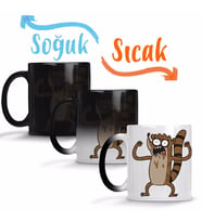 Regular Show Rigby Sihirli Kupa Bardak Porselen