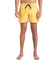 Quiksilver Everyday 15 Erkek Deniz Şortu