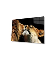 Aslan Cam Tablo 4mm Dayanıklı Temperli Cam (Çok Renkli)