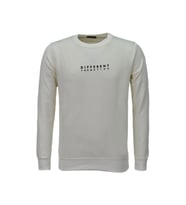 Erkek Spor Mevsimlik Sıfır Yaka Sweatshirt BGL-ST03933