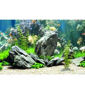 Kanki Pet KP7045034 Akvaryum Arka Fon Yapıştırma 70 x 45 CM