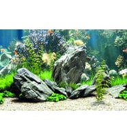 Kanki Pet KP7045034 Akvaryum Arka Fon Yapıştırma 70 x 45 CM