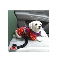 Siyah Kedi Köpek Araç Emniyet Kemeri Tasma Için Ayarlanabilir Araba Evcil Hayvan Oto Tasması