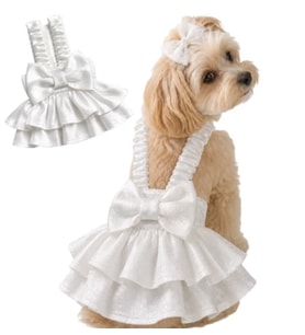GELİNLİK - BRIDESMAID köpek abiye elbise