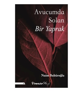Avucumda Solan Bir Yaprak