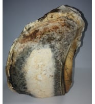 KAMVAYU TAŞLARI - Opal Dendiritli Ham Kayaç (Merlinit) 2.626 gr. Taş Ebatı:16*10*11cm.