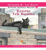 Kanatlı Kediler Masalı 4 - Kentte Tek Başına