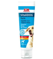 Bio PetActive Vitalidog Paste Yetişkin Köpekler İçin Vitamin Macun 100ml