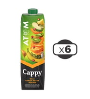 Cappy Atom Meyve Suyu 1 Lt 6 Adet