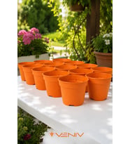 10 Adet Dekoratif Renkli Delikli Saksı - Genel Kullanım- Saksı- Çoğaltma 8.5 cm