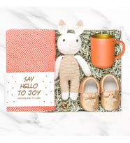 Hello Bunny Yeni Doğan Bebek Hediye Kutusu