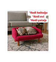 Kedi evi, kedi koltuğu, kedi yatağı