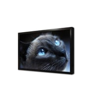Gri Kedi Çerçeveli Mdf Tablo