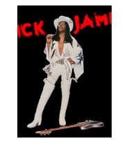 Rick James (sanatçı) Tablo Ahşap Poster Dekoratif
