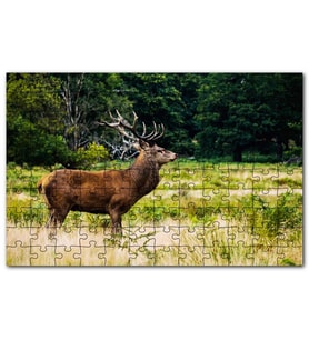 Cakapuzzle Sarı Yeşil Otlar Arasında Ren Geyiği Orman Puzzle Yapboz MDF (Ahşap) (120 Parça)